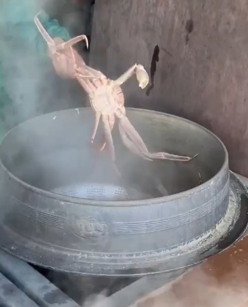 6시내고향-울진-가마솥-대게