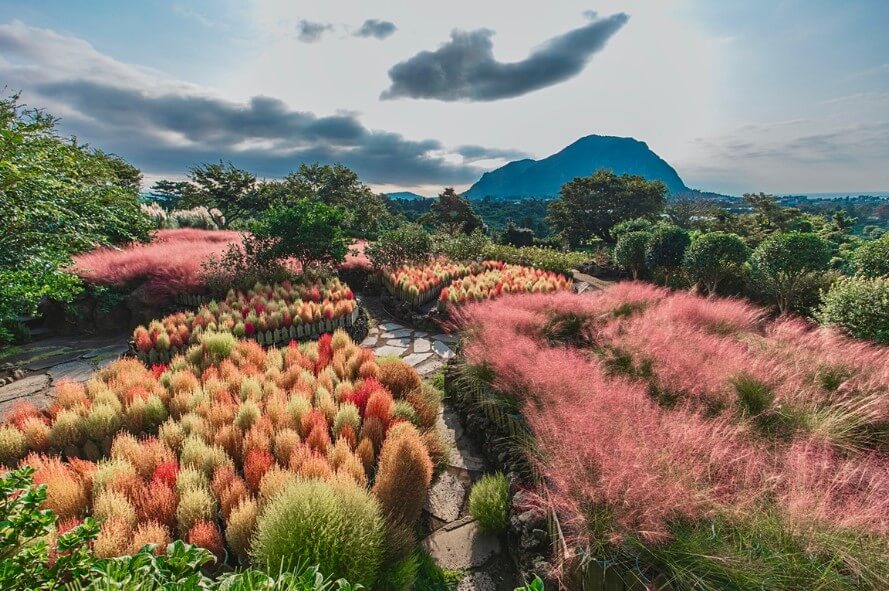 10월 제주도 가볼만한 곳, 축제