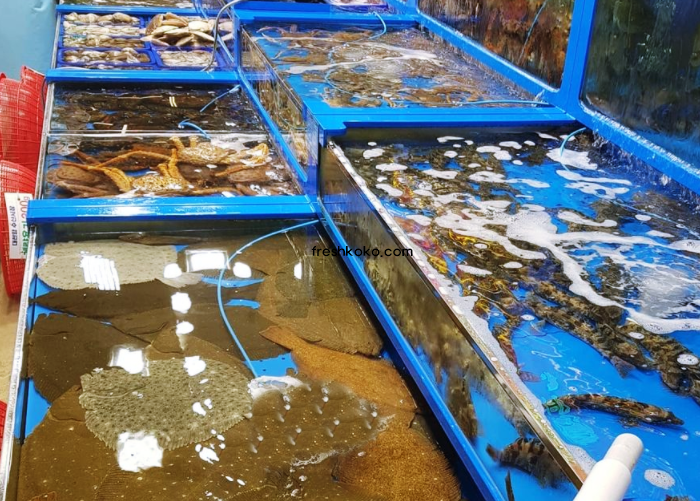 보령 가볼만한곳