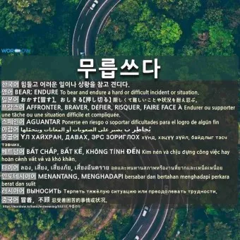 무릅쓰다 무릎쓰다 맞춤법 맞는 표현_15