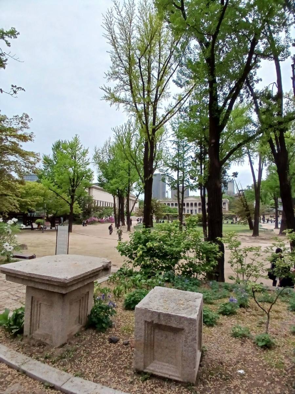 덕수궁 석조전이 보이다