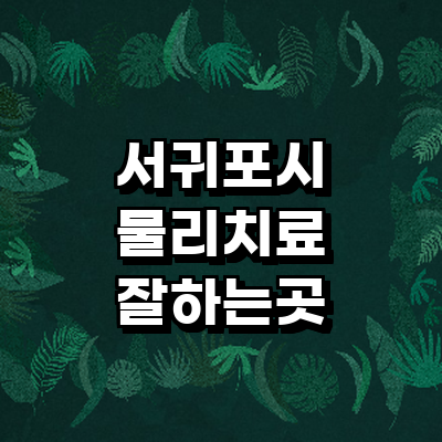 제주 서귀포시 정형외과