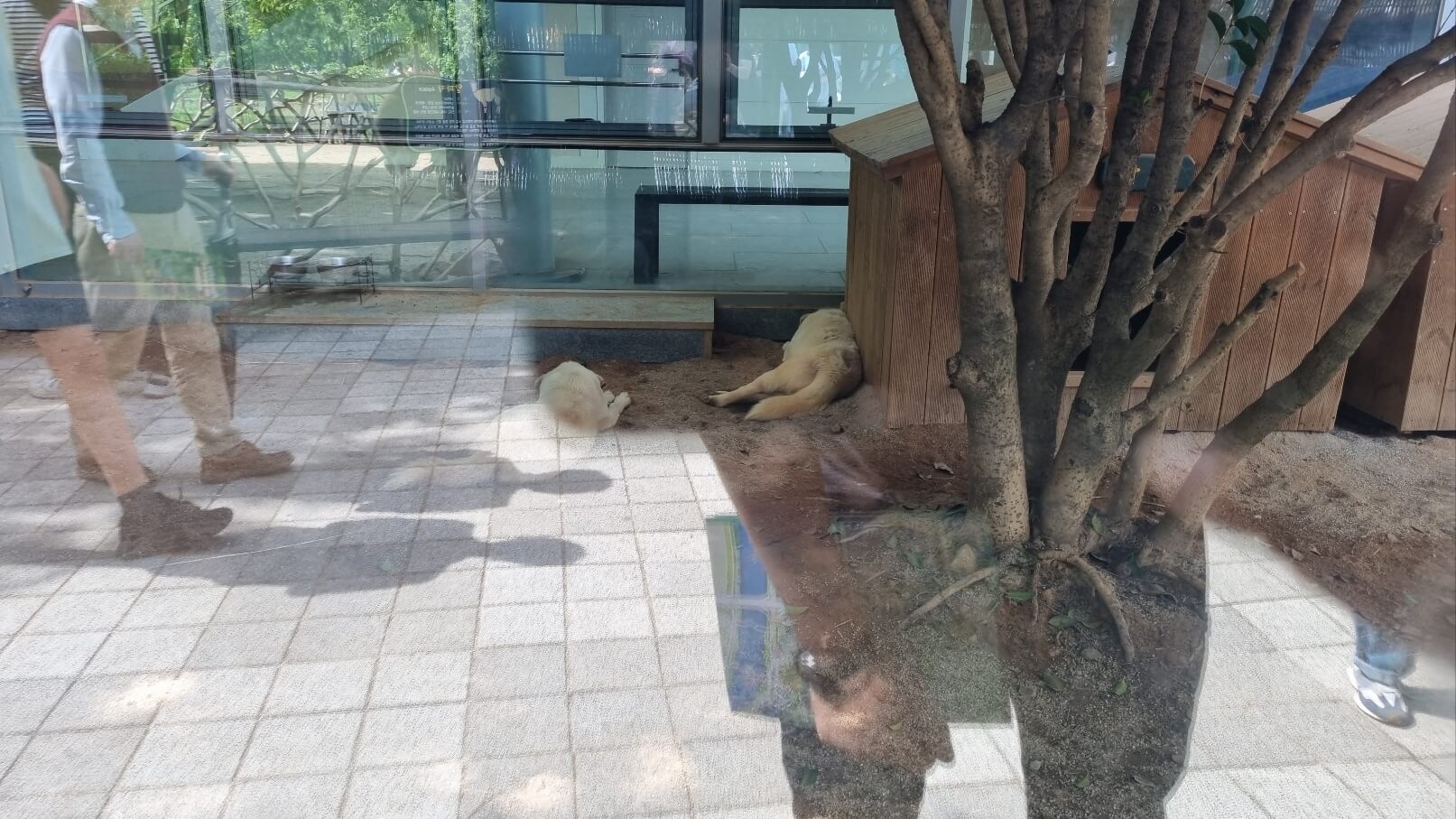 순천만국가정원 서문 동물원