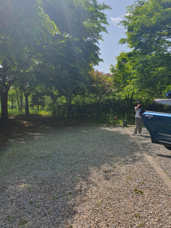 안산 화랑유원지 캠핑장