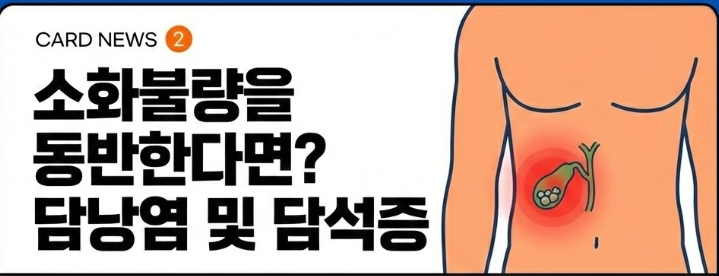 소화불량을 동반한다면? 담낭염 및 담석증