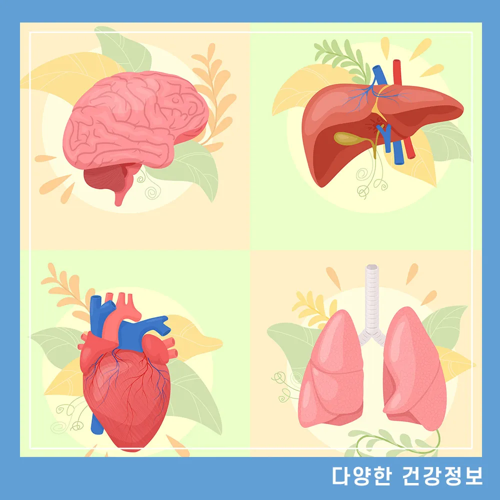 장기기증 신청방법 혜택 시신 뒤처리