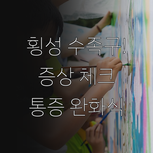 횡성 수족구병 증상 체크리스트 및 입..
