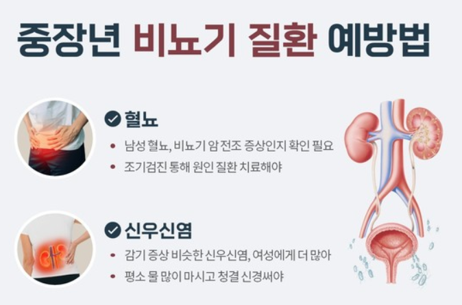 혈뇨가 나오는 이유 2