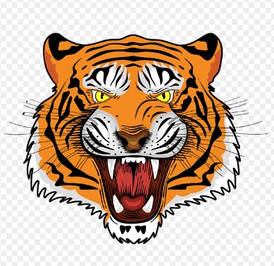 2026년 범띠 신년운세 무료 확인