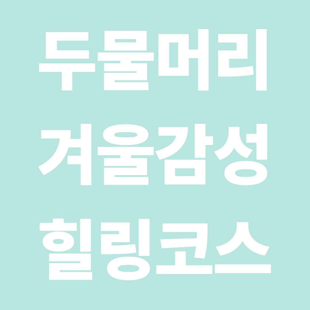 무료로 즐기는 겨울 감성 힐링 코스 두물머리