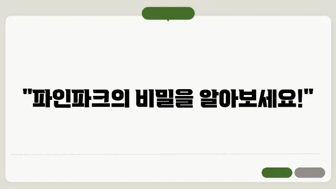 파인파크 어유 안내의 홈페이지 https://pinepark.co.kr/