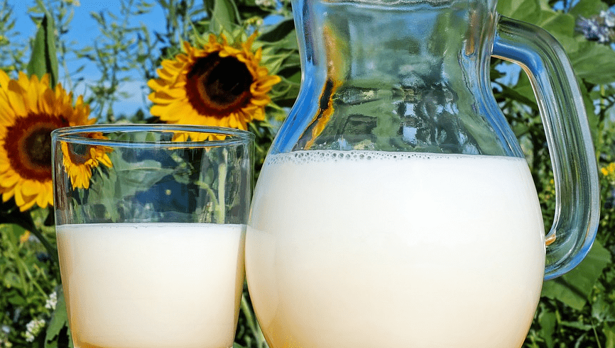 유리컵과 유리병에 우유가 담겨 있다