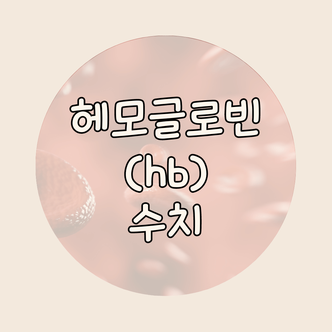 헤모글로빈