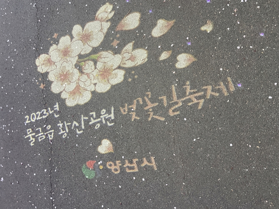 양산시 물금벚꽃축제 기본일정과 프로그램 소개