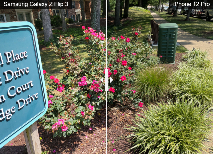 갤럭시 Z 플립3 - 꽃 사진