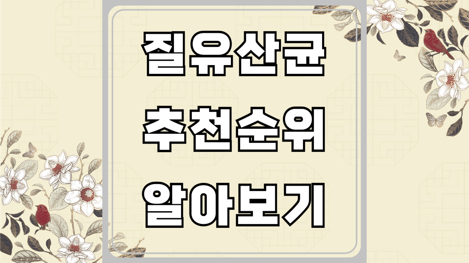 질유산균 추천 순위
