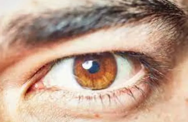 사이코패스 주요 특징