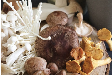 당뇨병에 좋은 팽이버섯