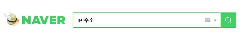 네이버 IP주소 검색
