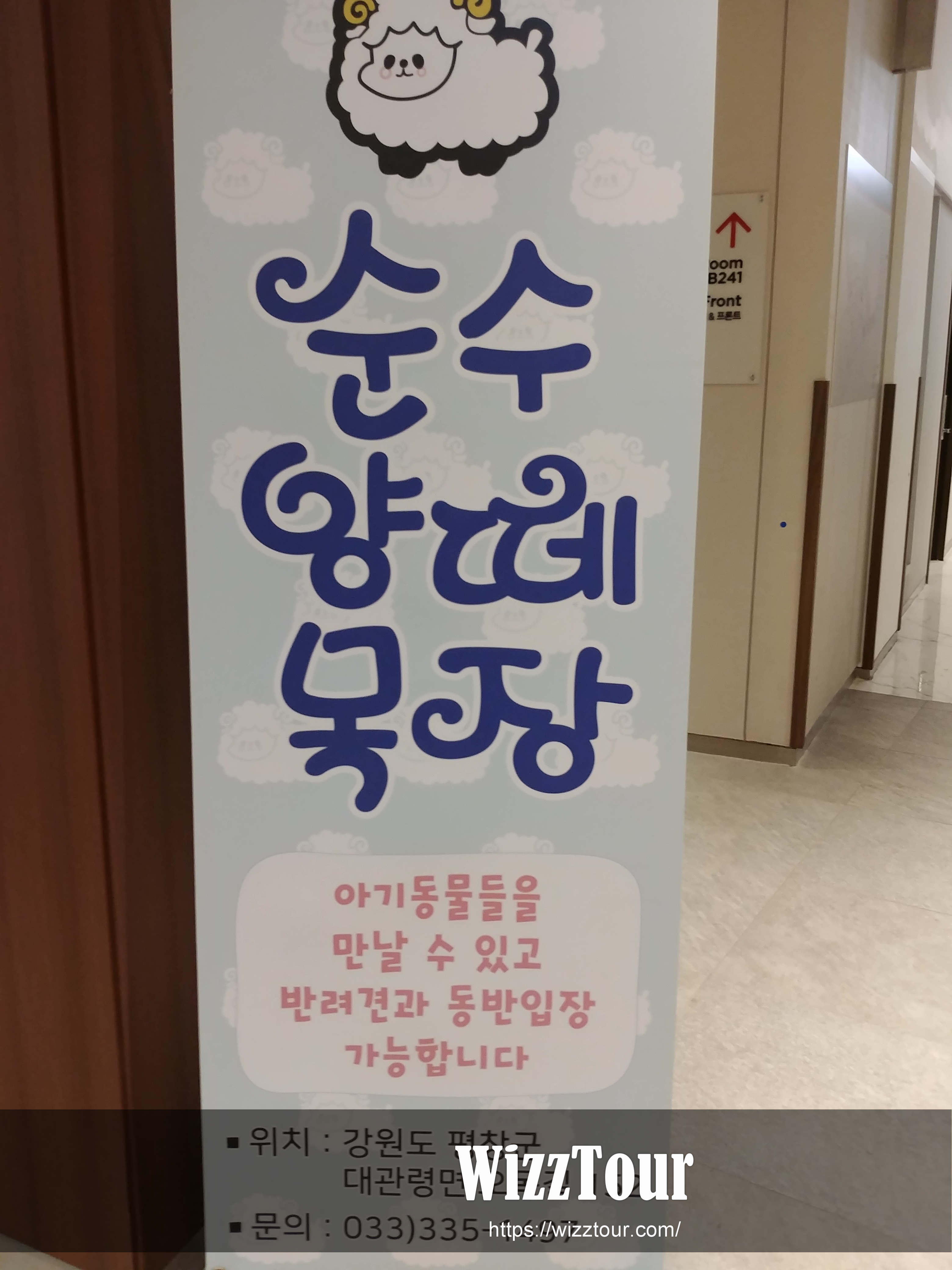 라마다 호텔 &amp; 스위트 강원 평창 순수 양떼 목장 홍보