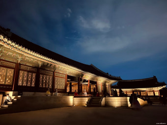 2025 경복궁 야간 개장 총정리