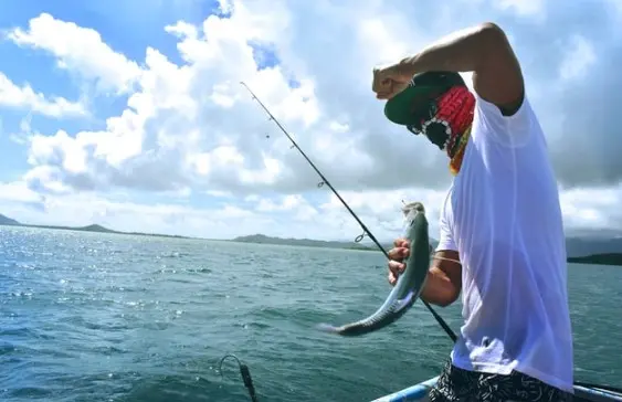 8월 제철회와 같이 먹으면 좋은 음식 총정리