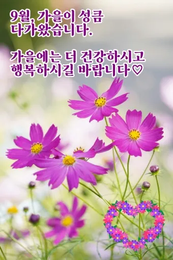 9월 인사말 모음 예시 문자_3