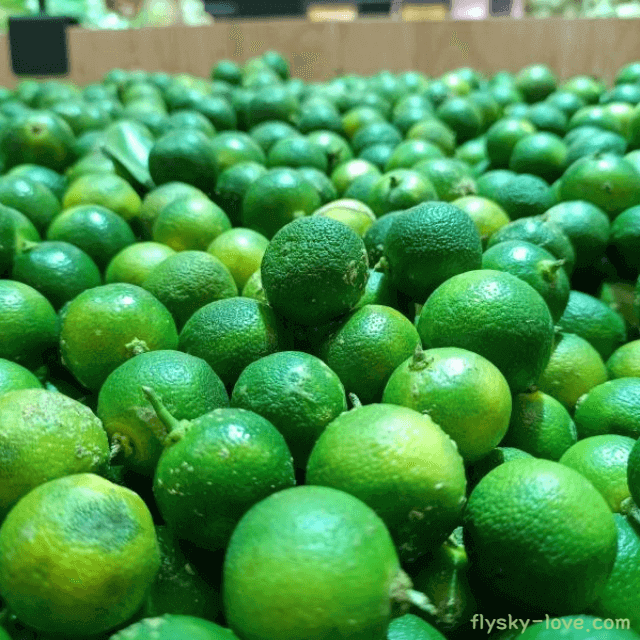 비타민C 결정체 깔라만시