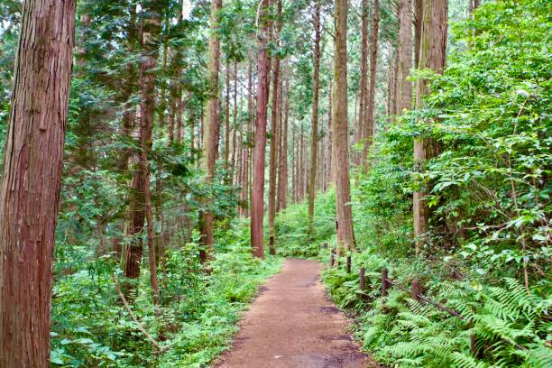 2025 난방비지원금 지원금액&amp;#44; 지급시기&amp;#44; 가구별 에너지 바우처 금액표