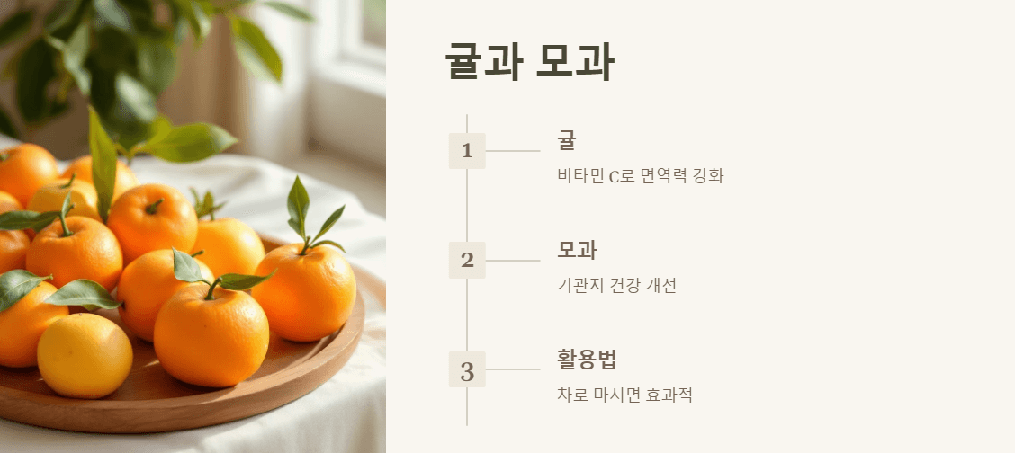 귤과 모과