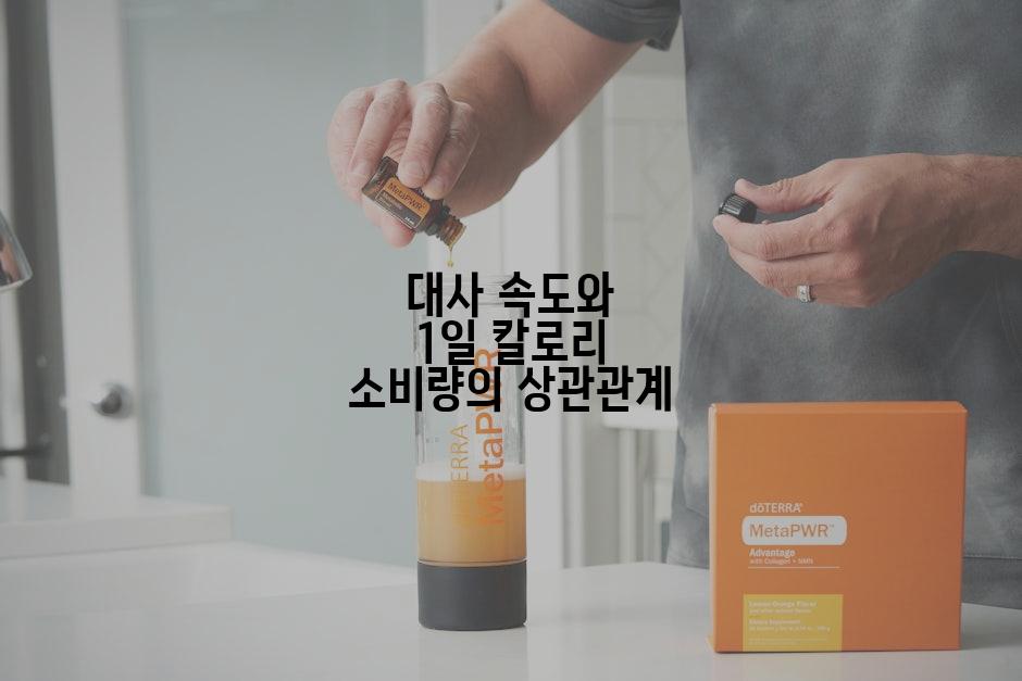 대사 속도와 1일 칼로리 소비량의 상관관계