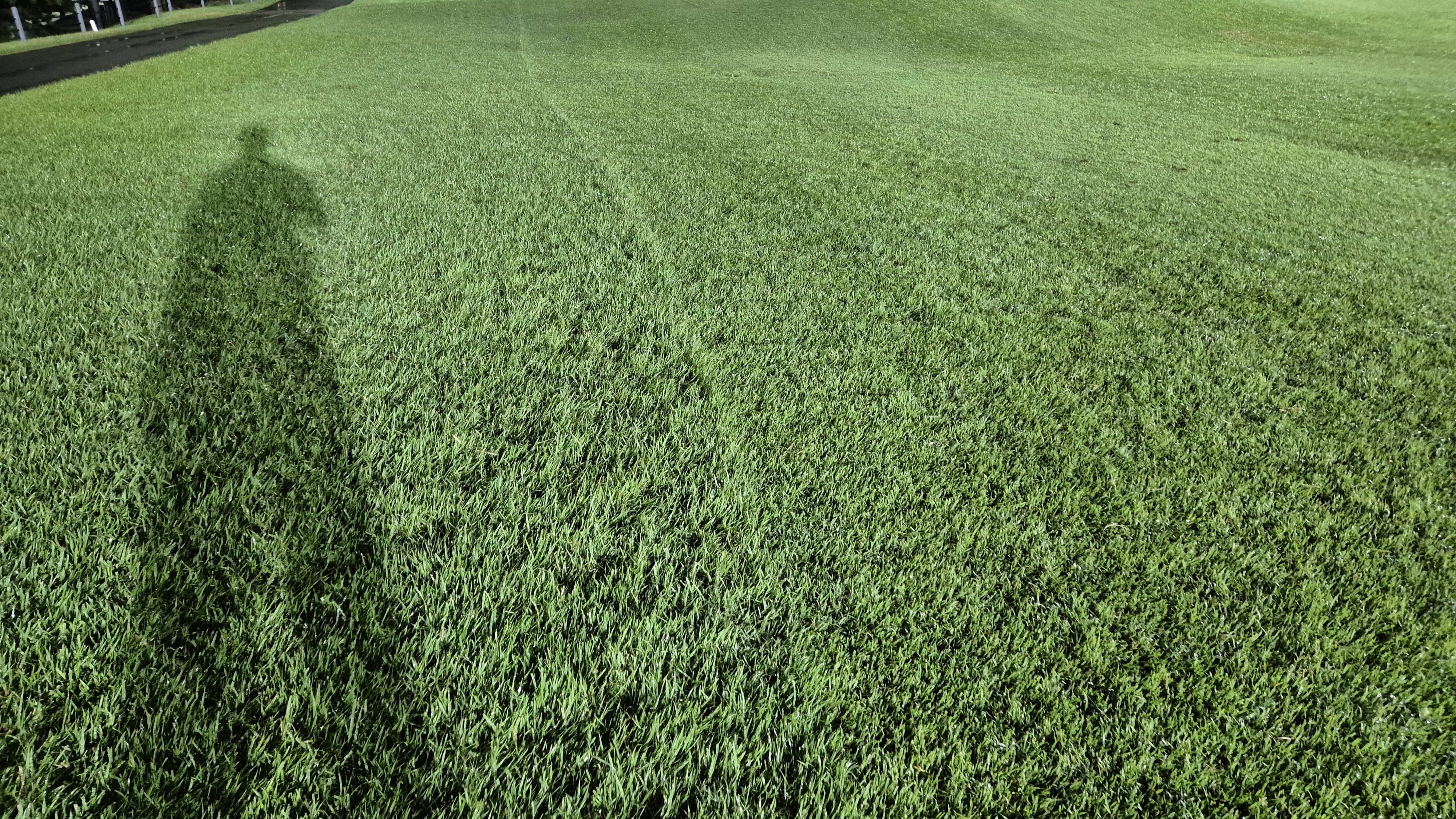 블루원용인cc 코스 관리 상태