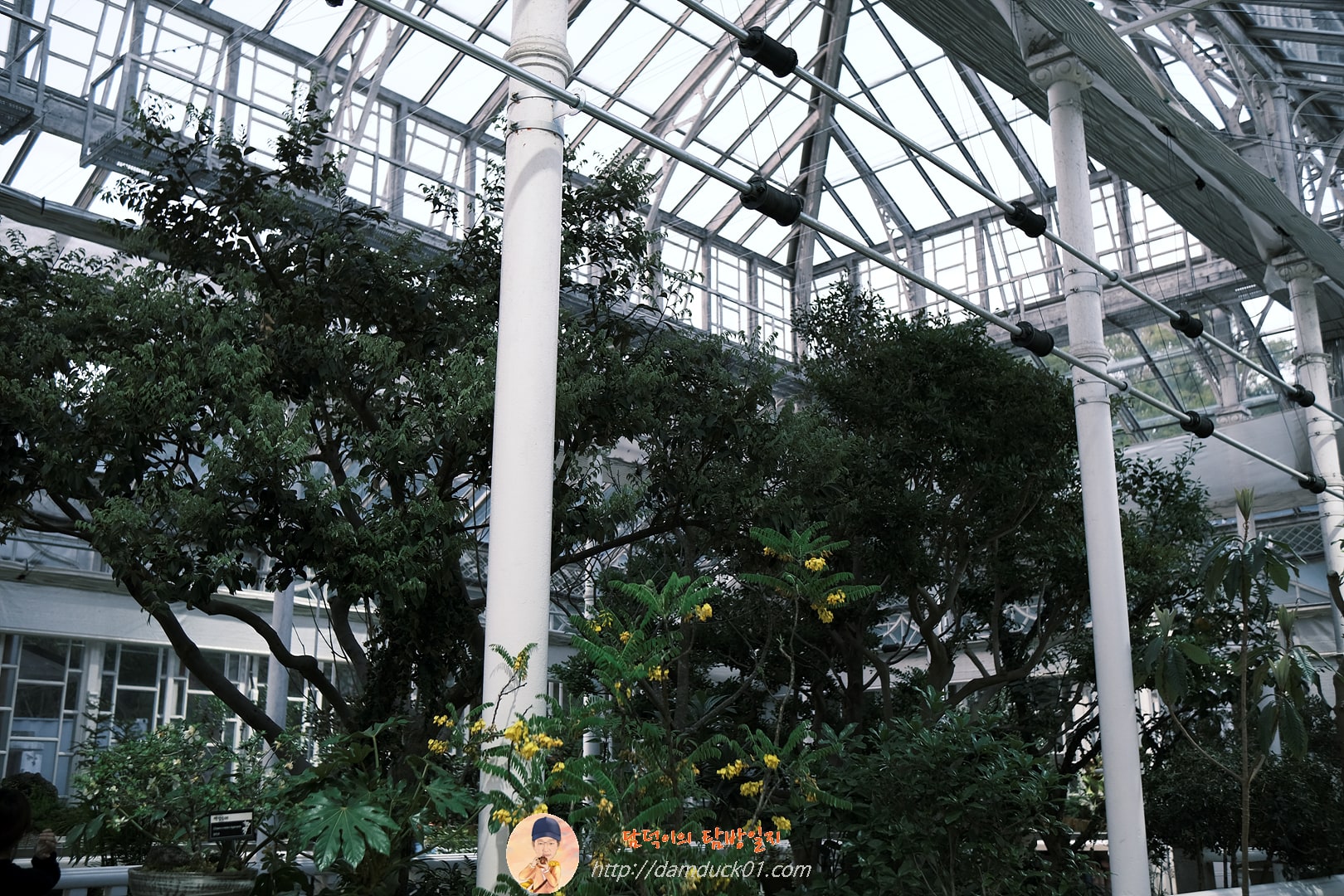 창경궁 대온실 실내