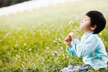 행복출산 원스톱 서비스 혜택 및 신청방법