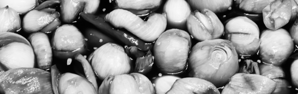 2배 식초 1컵 반 (300ml)