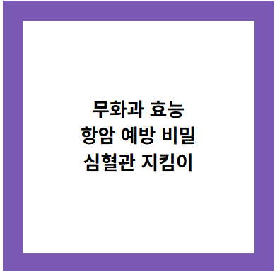 무화과 효능
항암 예방 비밀
심혈관 지킴이