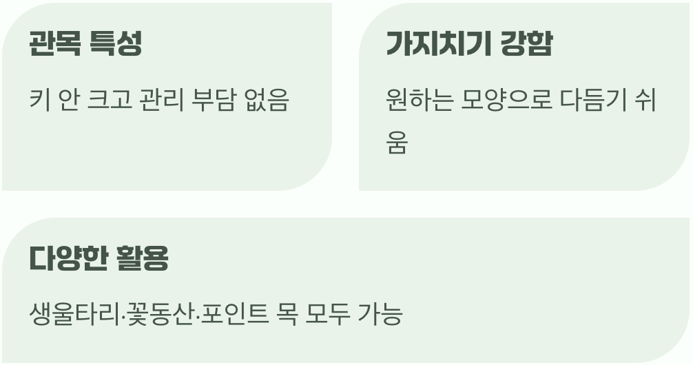 울타리부터 포인트까지, 만능 조경수