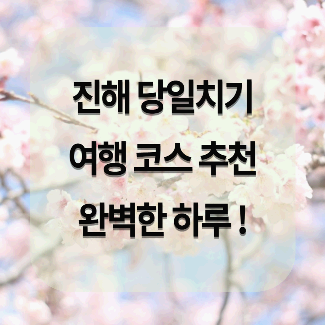 진해 당일치기 여행 코스 추천(군항마을부터 해양공원까지 완벽한 하루)