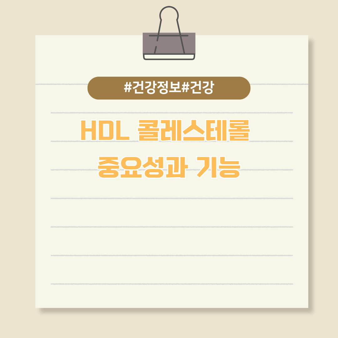 HDL 콜레스테롤 중요성과 기능
