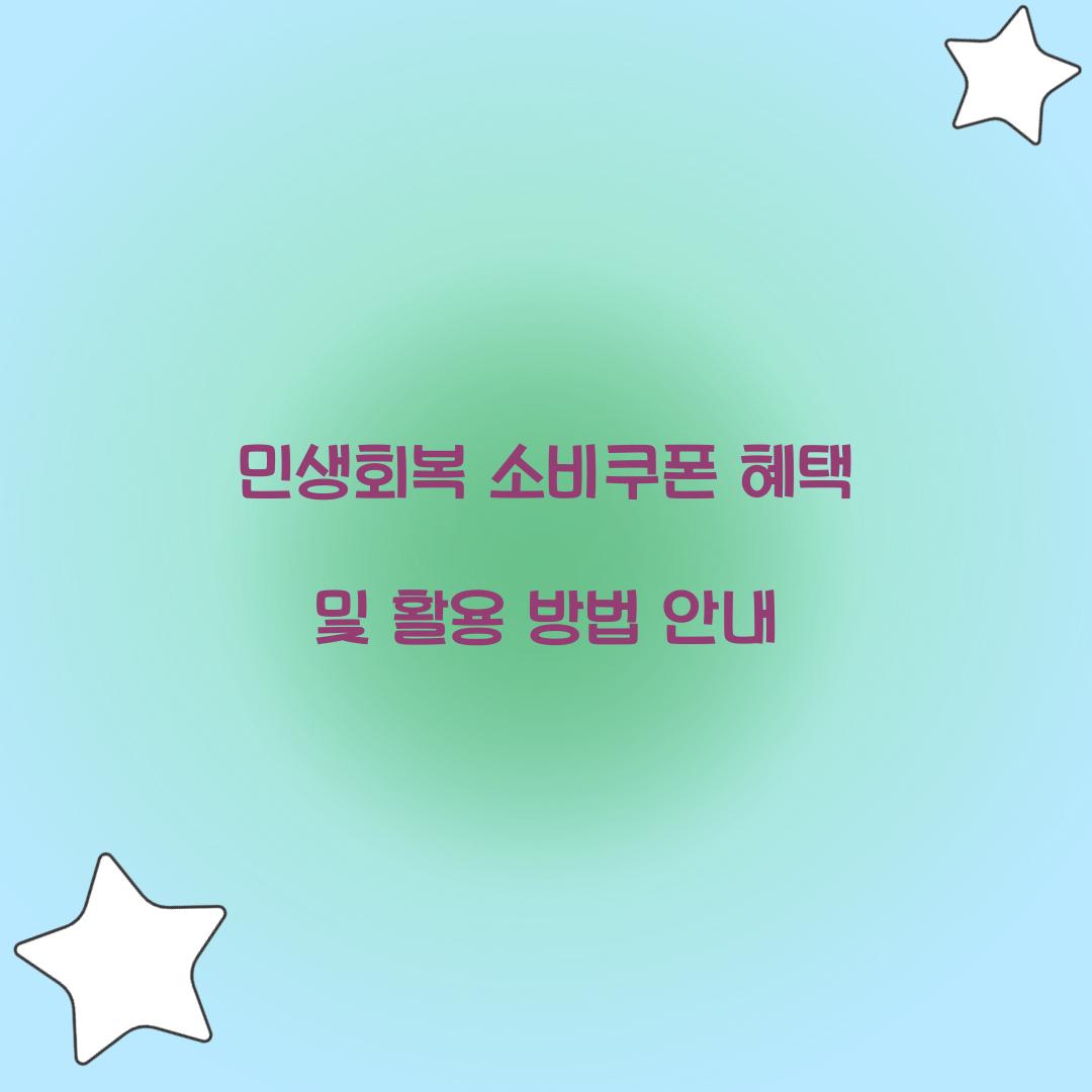 민생회복 소비쿠폰