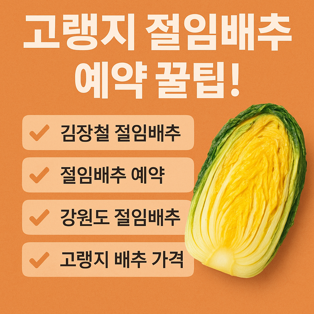 고랭지 절임배추