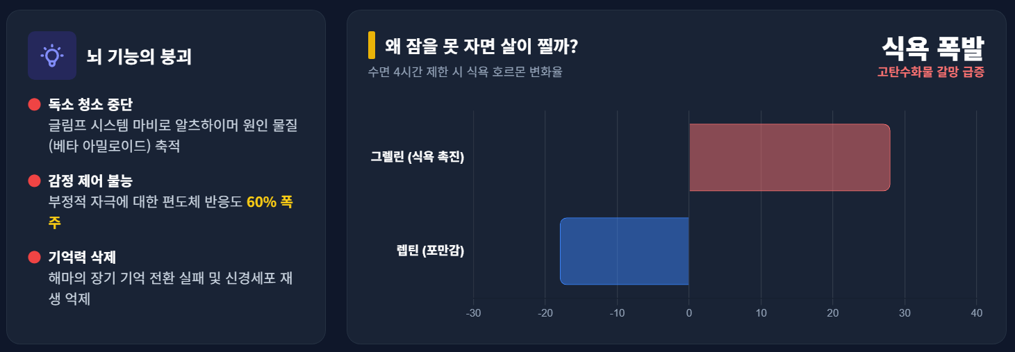 잠을 못잤을때의 뇌기능 상태를 나타내는 인포그래픽