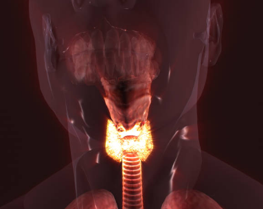 갑상선암 증상, 수술후 회복기간, 수술후 좋은음식 총정리 (2024ver)