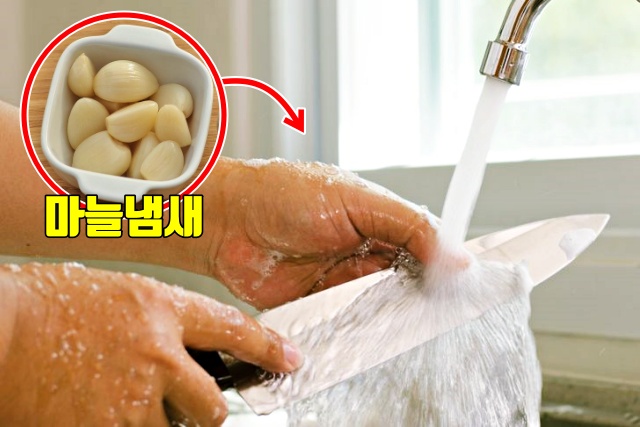 마늘 냄새 없애는법, 알아두면 좋은 생활 지혜,팁줌 매일꿀정보