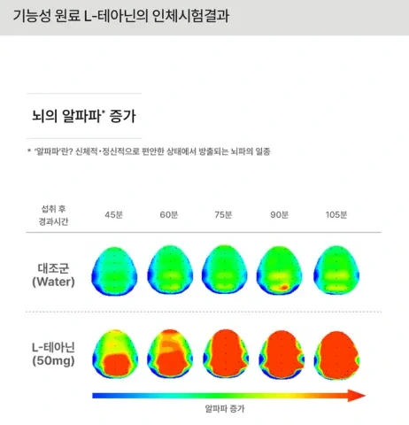 글리토닌이 뇌의 알파파 활동을 증가 연구