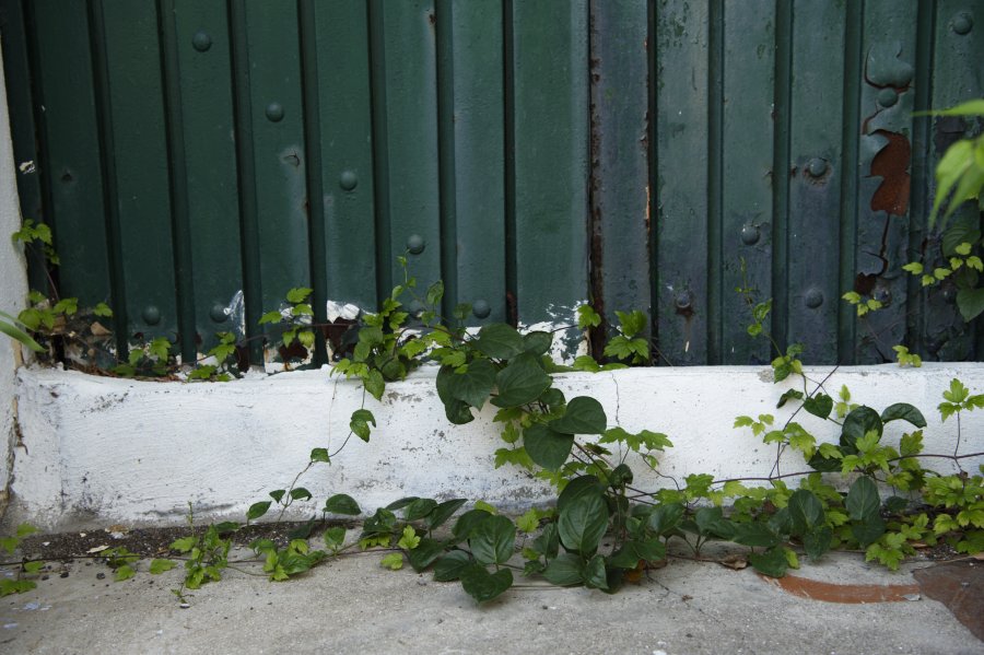 동삼1구역 재개발 지역