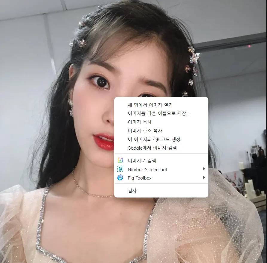 크롬 Google 렌즈로 이미지 검색 기능 끄기_4