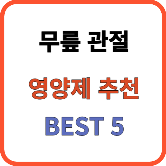 무릎 관절 추천 영양제