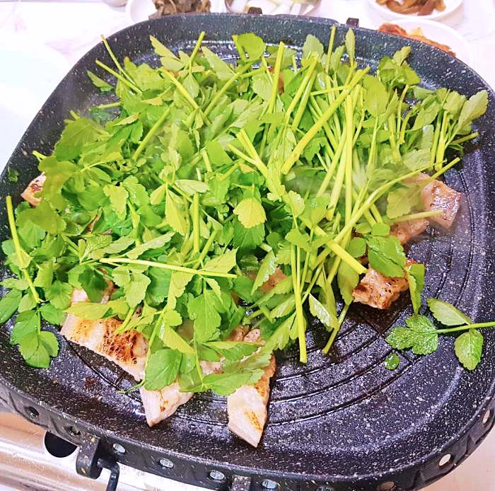 네모세모 경북 청도 세미칼 미나리 삼겹살 맛집