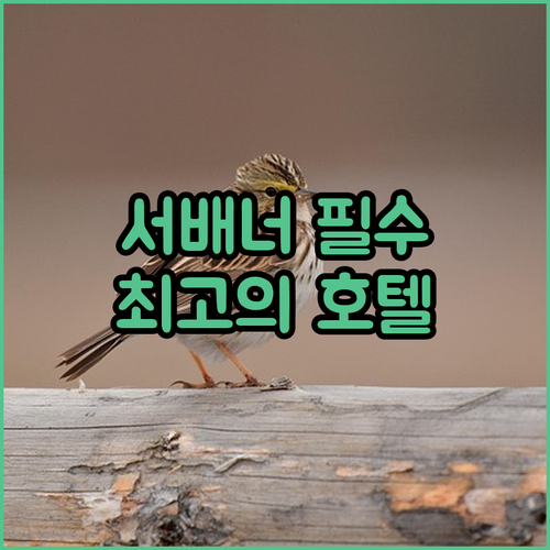 미국 서배너 여행객을 위한 위치 좋은..